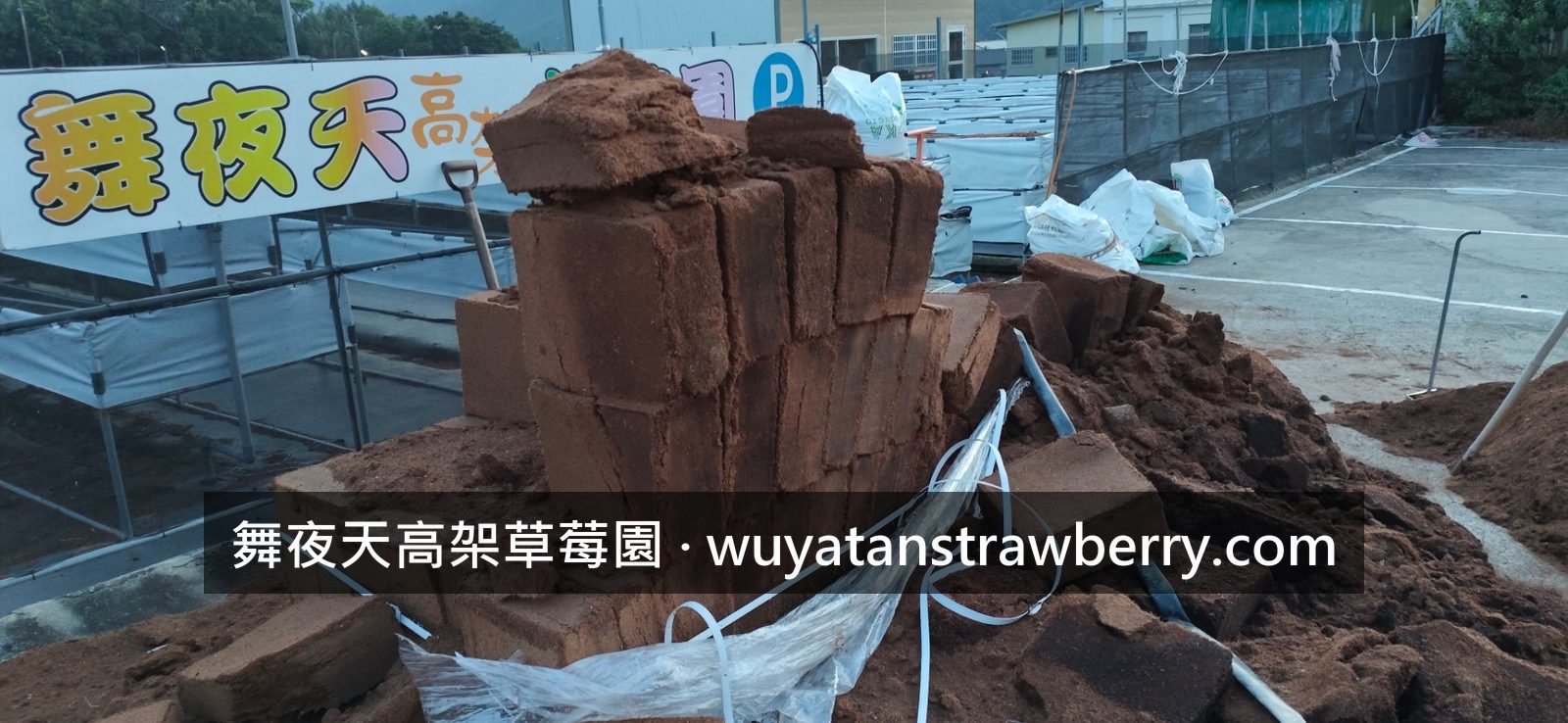 今天補完才發現椰纖塊不太夠用